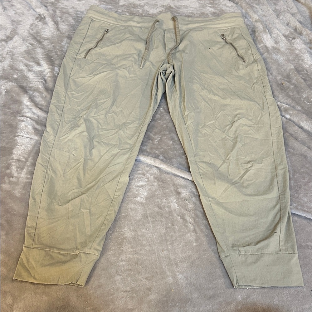 Athleta Trekkie north jogger
